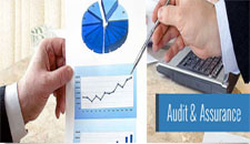 Audit Services